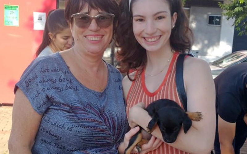 Feirinha de Adoção encontra lares para cinco cães