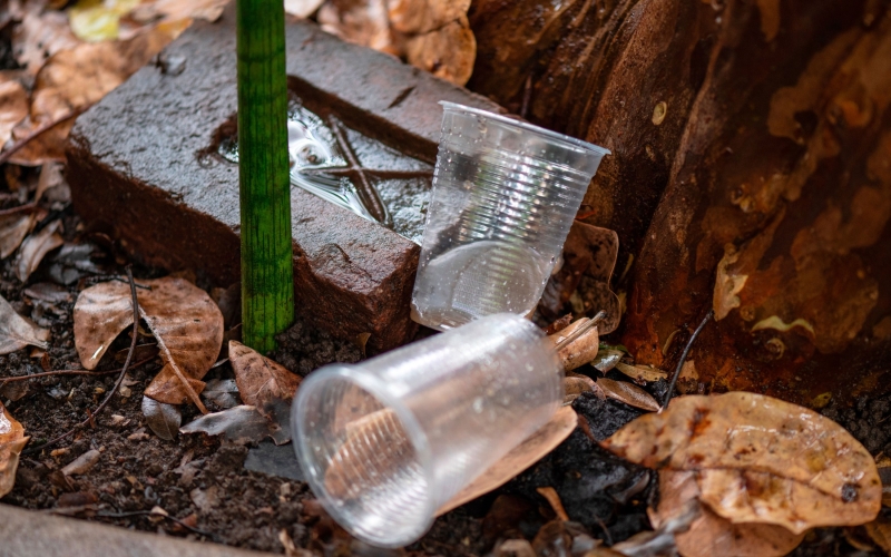 3º LIRAa aponta infestação de 0,3% em Cianorte