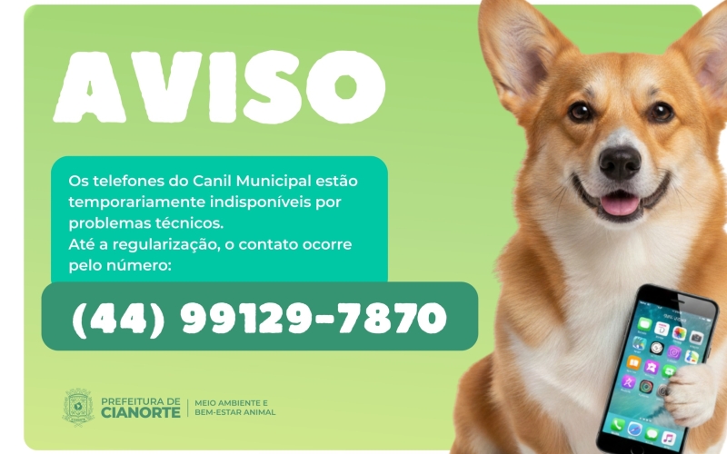 Canil Municipal atende com telefone provisório