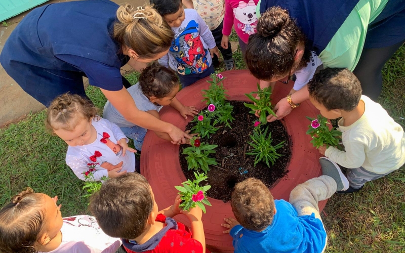 CMEI Pequeno Príncipe promove ação ambiental em comemoração ao Dia Mundial do Meio Ambiente