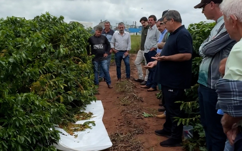 Dia de Campo reúne produtores para tratar do manejo do café