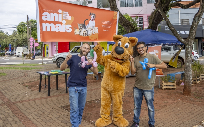 Dia D marca luta contra os maus-tratos aos animais