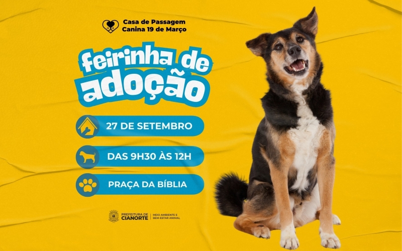 Sábado tem Feirinha de Adoção do Canil Municipal