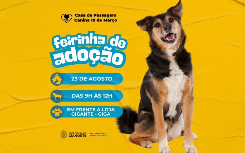Sábado tem Feirinha de Adoção de cães