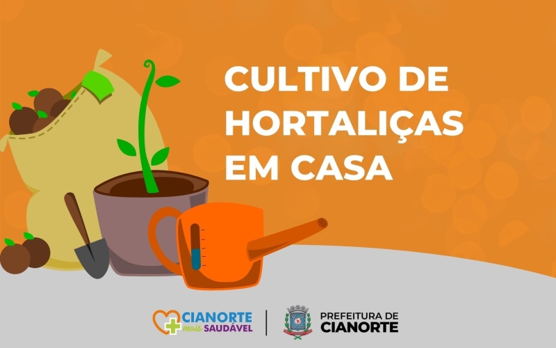 Projeto Cianorte Mais Saudável dá dicas para plantar hortaliças em casa