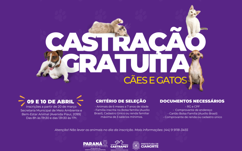 CastraPet abre inscrições para a esterilização gratuita de 500 cães e gatos