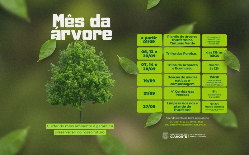 Cianorte celebra o Mês da Árvore com programação especial 